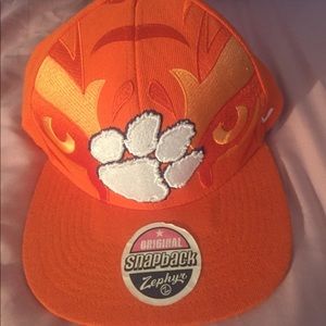 Clemson Tigers hat
